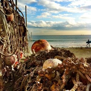 Meet your Posher, Bethzaida